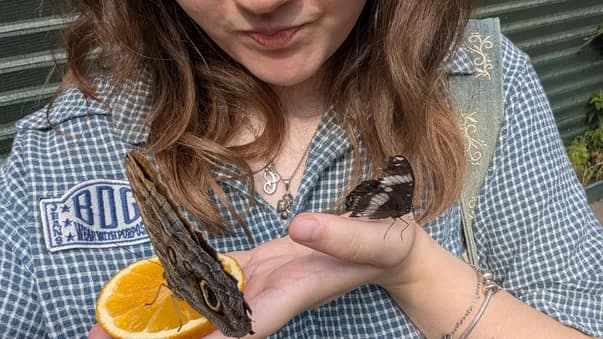 Carolina holding a butterfly on a slice of orange